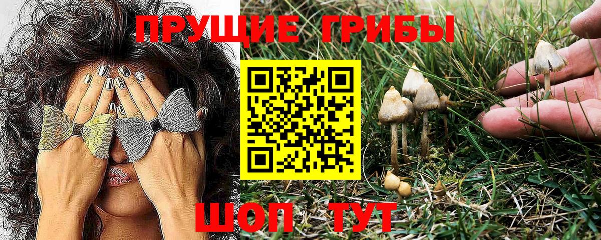 Псилоцибиновые грибы Psilocybe  Вход с VPN  Галлюциногенные грибы Magic Shrooms  Скопин 