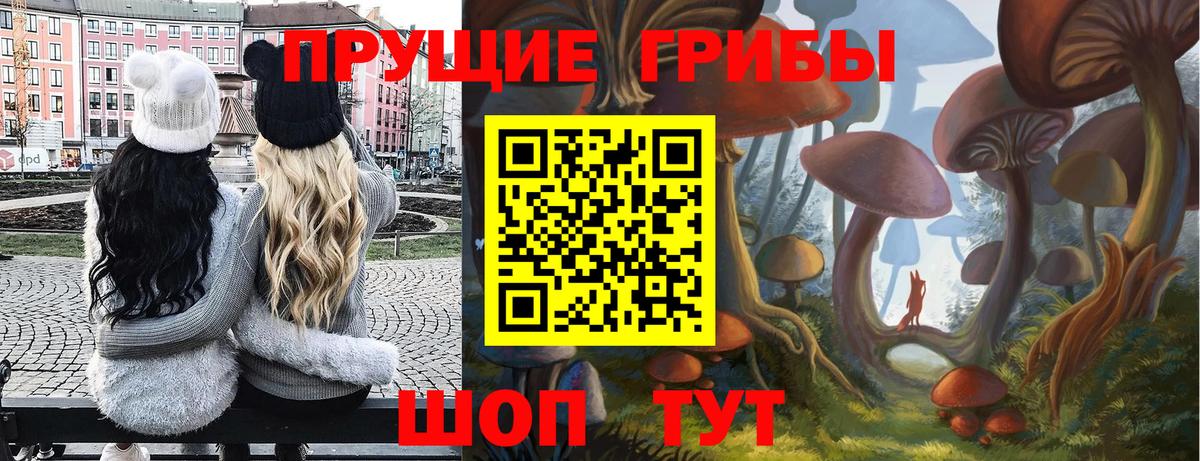 Псилоцибиновые грибы мицелий Скопин