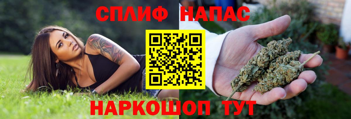 Канабис ГИДРОПОН  Конопля White Widow  Бошки Шишки SATIVA & INDICA  Скопин  Вход с VPN 